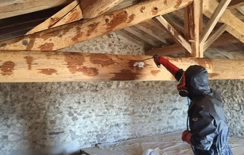 Comment traiter sa charpente après diagnostic termites