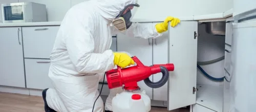 Diagnostic termites Aix‑en‑Provence