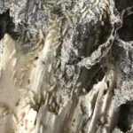 Diagnostic termites Aix‑en‑Provence