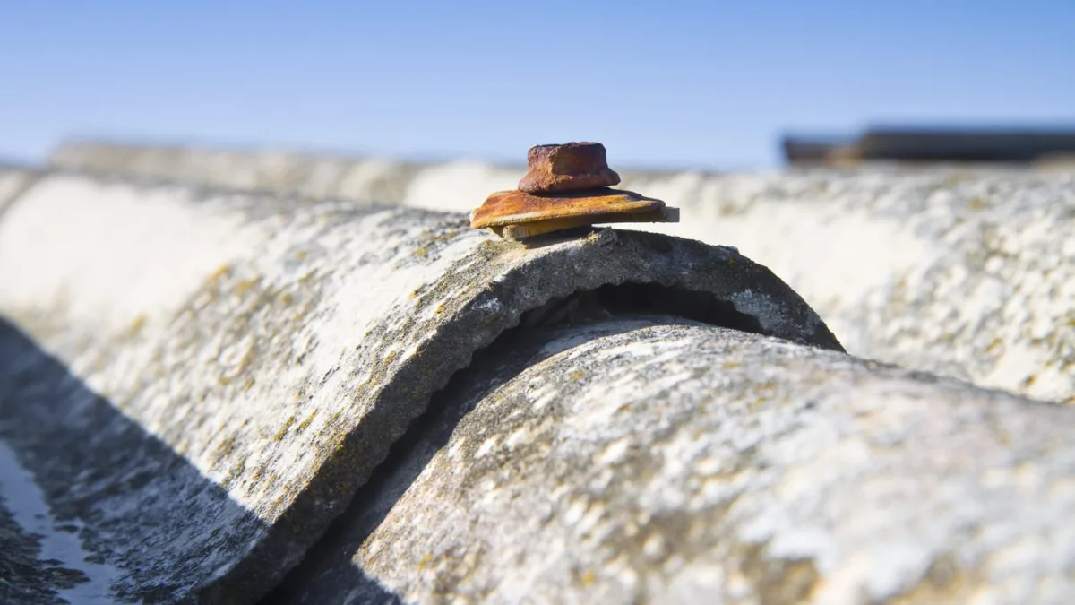 Diagnostic plomb Toulon